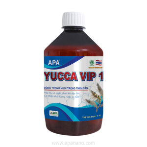 APA YUCCA VIP 1